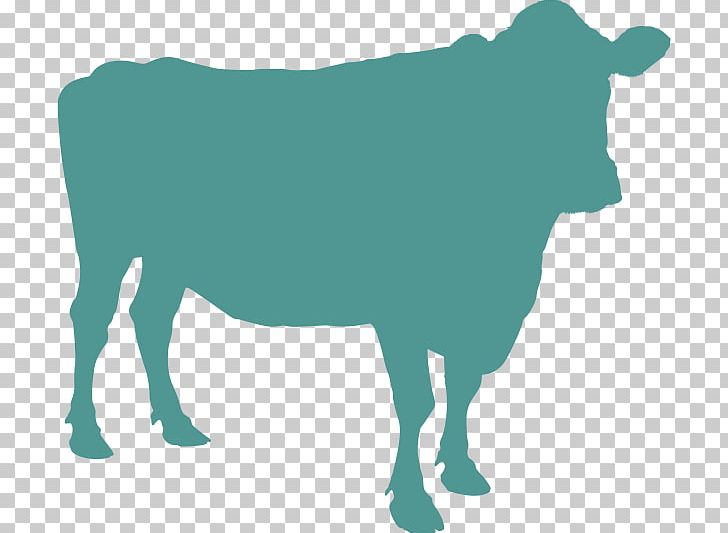 Angus Cattle Beef Cattle Livestock PNG, Clipart, Angus Cattle, Animal Silhouettes, Art, Beef Cattle, Bull Free PNG Download