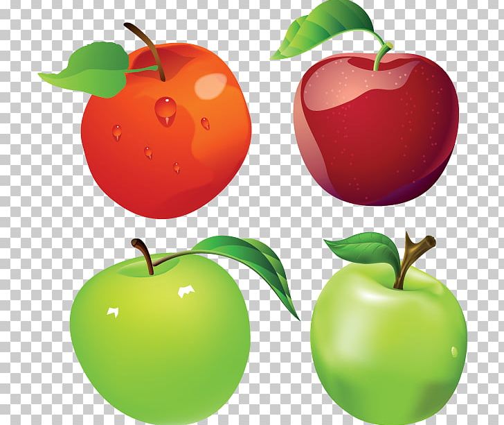 Apple Manzana Verde PNG, Clipart, Accessory Fruit, Acerola, Acerola Family, Apple, Clip Art Free PNG Download
