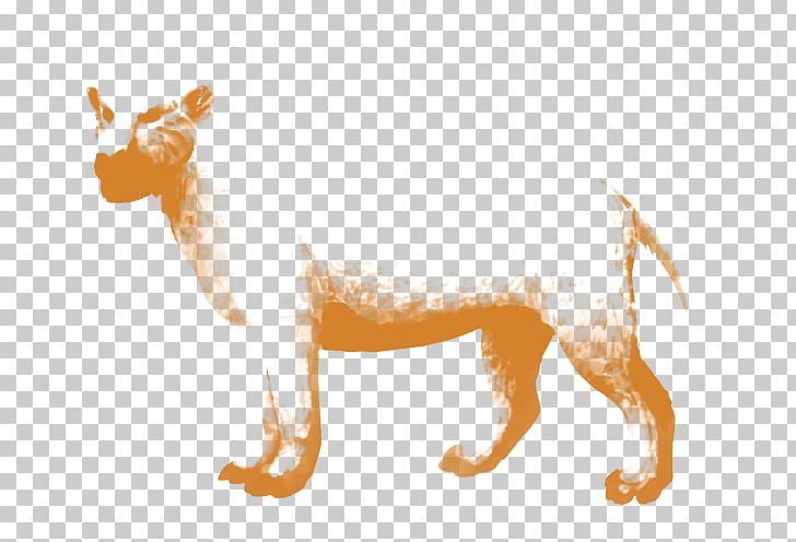 Dog Breed Cat Snout PNG, Clipart, Animals, Breed, Carnivoran, Cat, Cat Like Mammal Free PNG Download