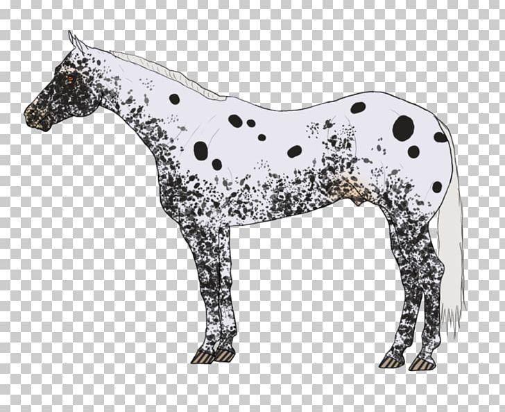 Mustang Pony Mane Pack Animal Freikörperkultur PNG, Clipart, Angry, Animal, Animal Figure, Appaloosa, Horse Free PNG Download