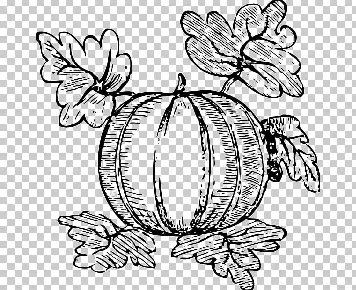 Pumpkin Drawing PNG, Clipart, Art, Artwork, Black And White, Butterfly, Coloring Book Free PNG Download
