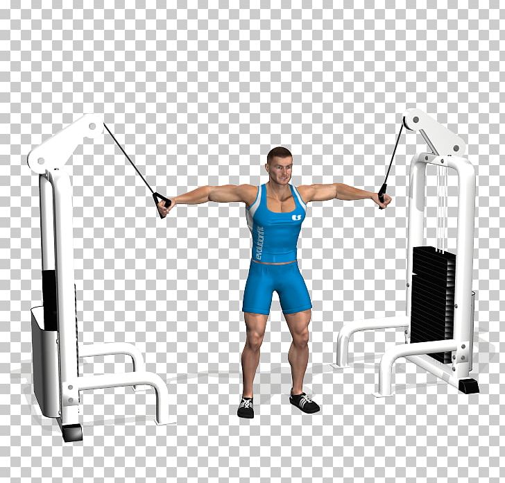 Shoulder Thorax Bench Press Crossover Barbell PNG, Clipart, Abdomen, Arm, Balance, Barbell, Bench Free PNG Download