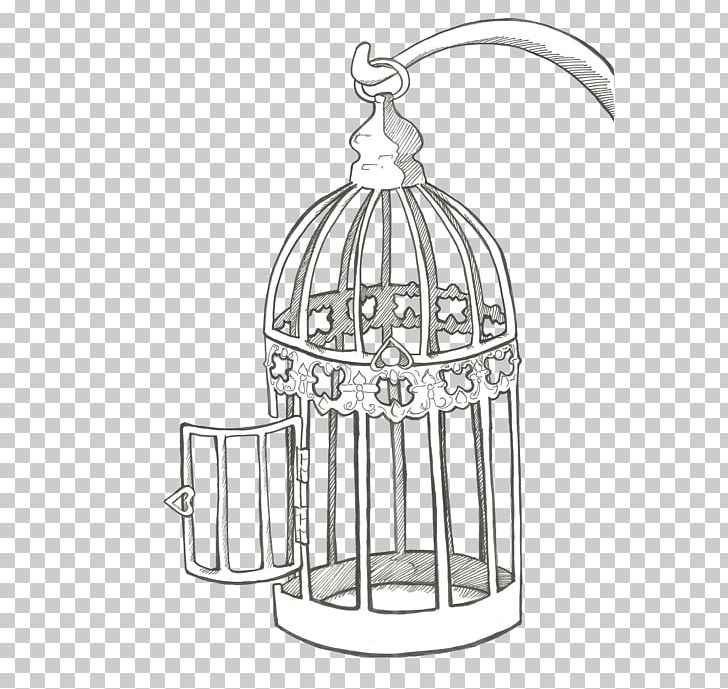Sketch PNG, Clipart, Artwork, Bird, Black And White, Cage, Download Free PNG Download