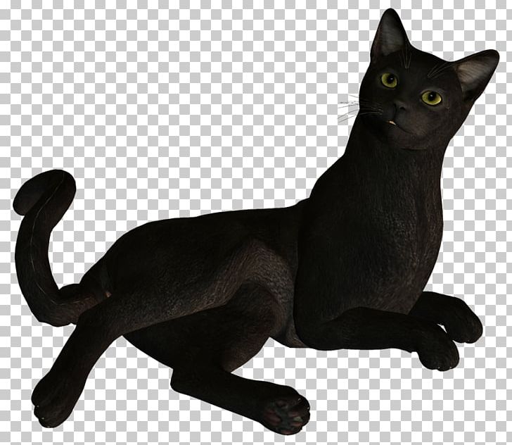 Black Cat Bombay Cat Korat Domestic Short-haired Cat PNG, Clipart, Animal Figure, Asian, Black, Black Cat, Blog Free PNG Download