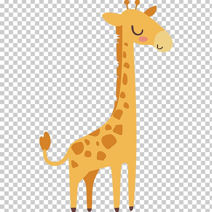 Giraffe Illustration Drawing PNG, Clipart, Animal, Animal Figure, Animals, Animal Vector, Cartoon Free PNG Download