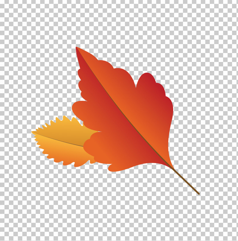 Maple Leaf PNG, Clipart, Autumn Leaf, Biology, Cartoon Leaf, Computer, Fall Leaf Free PNG Download