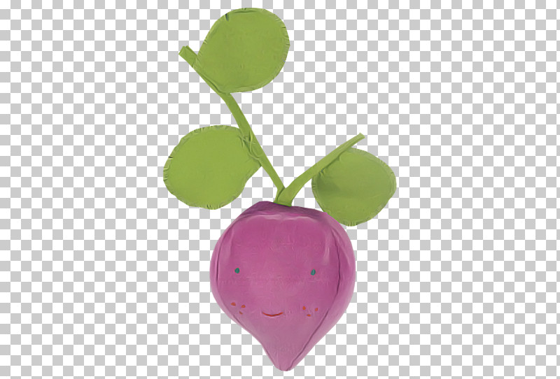 Violet Purple Radish Leaf Plant PNG, Clipart, Flower, Leaf, Plant, Purple, Radish Free PNG Download