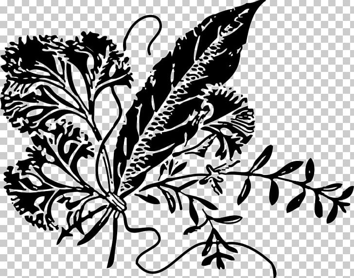 Herbal Tea Parsley PNG, Clipart, Black And White, Branch, Butterfly, Common Sage, Computer Icons Free PNG Download