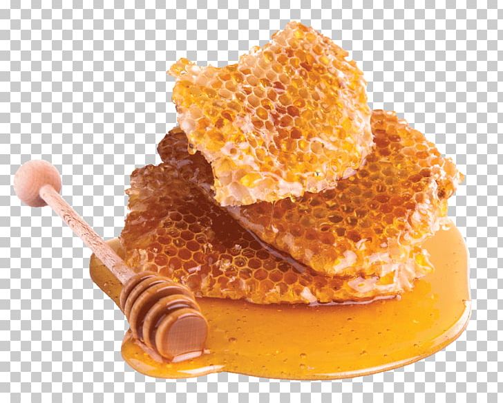 Honeycomb Honey Bee PNG, Clipart, Bee Honey, Breakfast, Cuisine, Dish, Extract Free PNG Download