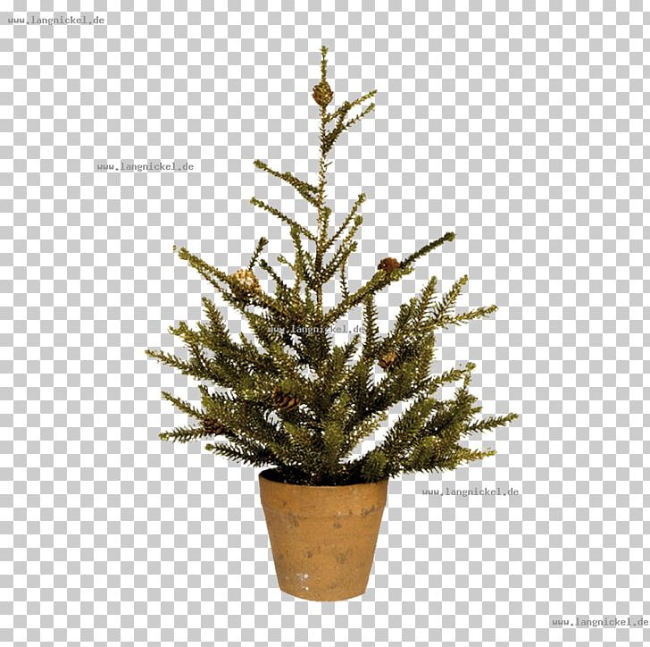 Spruce Christmas Tree Christmas Ornament Fir Pine PNG, Clipart, Branch, Christmas Day, Christmas Decoration, Christmas Ornament, Christmas Tree Free PNG Download