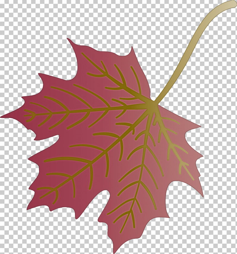 Autumn Leaf Colourful Foliage Colorful Leaves PNG, Clipart, Autumn Leaf, Autumn Leaf Color, Branch, Color, Colorful Leaf Free PNG Download
