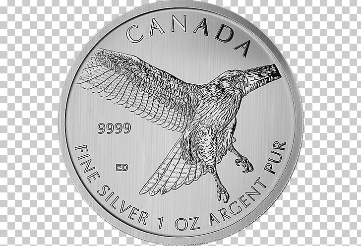 Canada Perth Mint Silver Coin Royal Canadian Mint PNG, Clipart, Australian Silver Kookaburra, Black And White, Bullion, Bullion Coin, Canada Free PNG Download