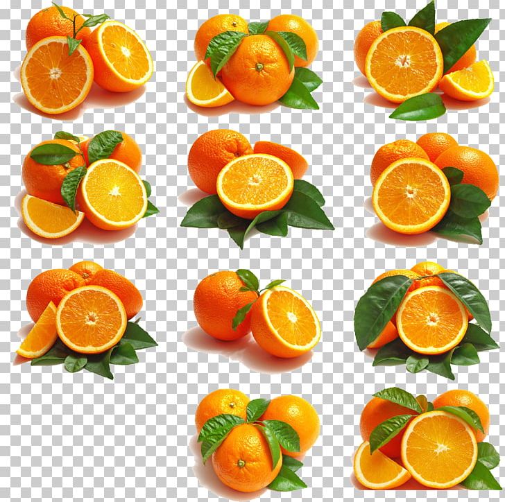 Citrus Xd7 Sinensis Fruit Orange Embroidery PNG, Clipart, Bitter Orange, Citric , Food, Fruit Nut, Natural Foods Free PNG Download
