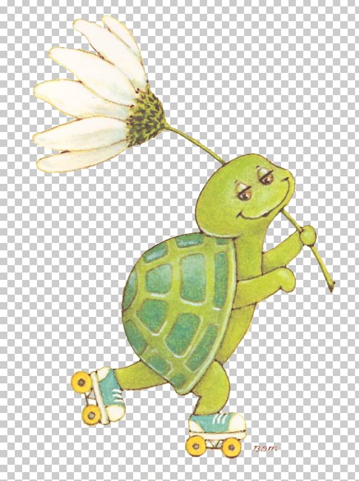 Tortoise Sea Turtle PNG, Clipart, Animal, Animals, Cartoon, Clip Art, Email Free PNG Download