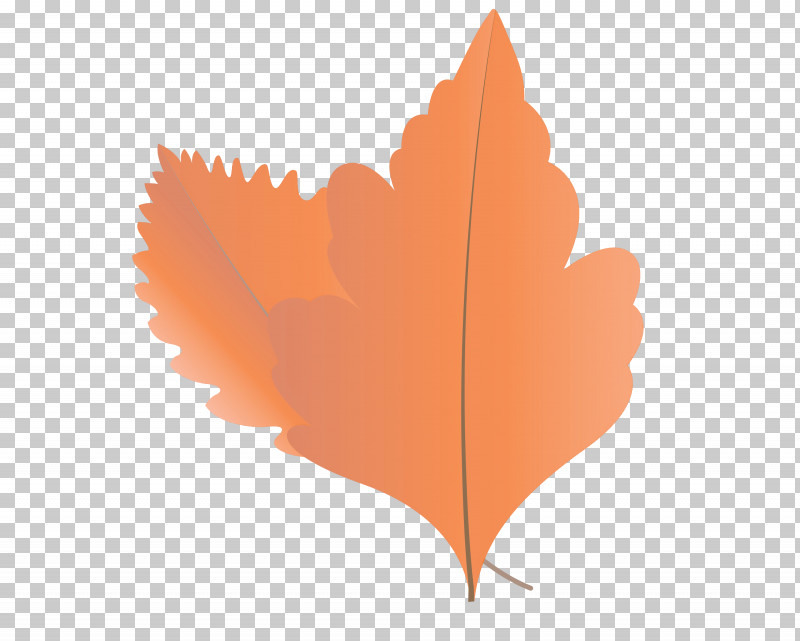 Maple Leaf PNG, Clipart, Autumn Leaf, Autumn Leaf Color, Biology, Cartoon Leaf, Fall Leaf Free PNG Download