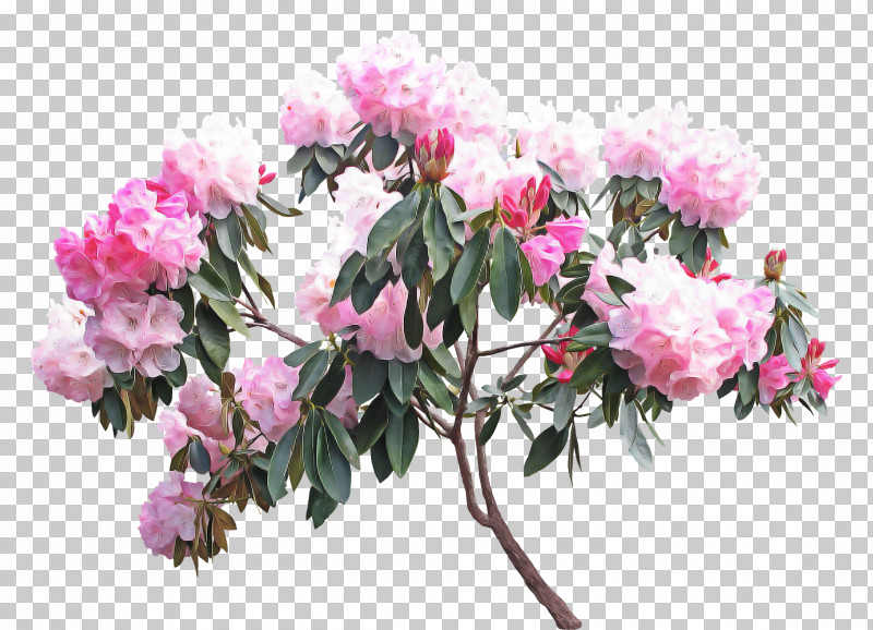Artificial Flower PNG, Clipart, Artificial Flower, Azalea, Blossom, Branch, Chinese Peony Free PNG Download
