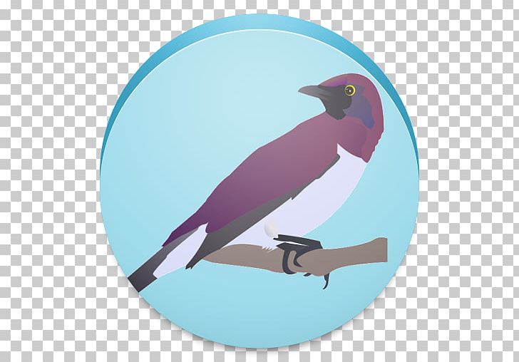 Bird PNG, Clipart, Animals, App, Beak, Bird, Bird Watching Free PNG Download