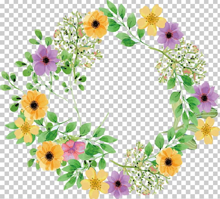 Flower Common Daisy Floral Design PNG, Clipart, Annual Plant, Flower Arranging, Flowers, Invitations, Petal Free PNG Download