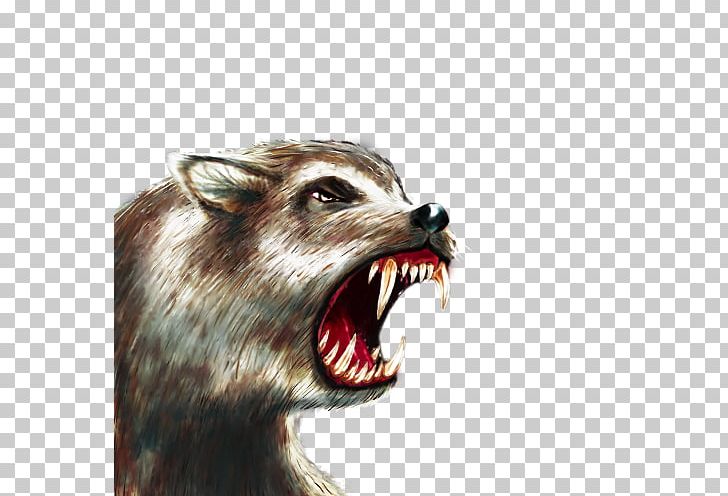 Gray Wolf Raccoon Dire Wolf The Battle For Wesnoth Snout PNG, Clipart, Animals, Battle For Wesnoth, Carnivoran, Dire Wolf, Fauna Free PNG Download