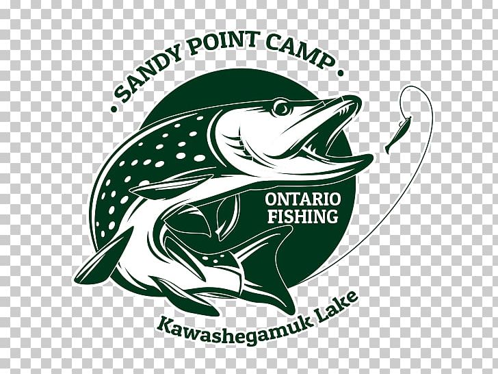 Northern Pike Sandy Point Camp Hunting Fishing Walleye PNG, Clipart, American Black Bear, Amphibian, Bear, Brand, Deer Free PNG Download