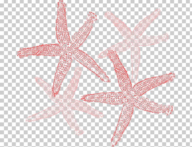 Starfish PNG, Clipart, Animals, Art Print, Clip Art, Clipart, Download Free PNG Download
