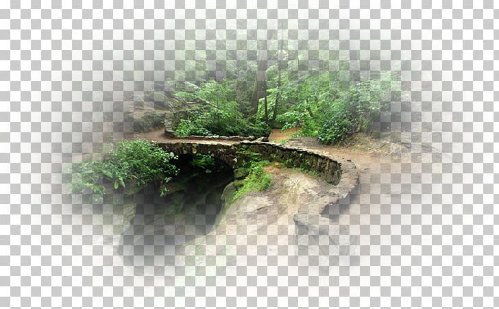 Bridge Painting Landscape PNG, Clipart, Bridge, Cekici, Grass, Kopru, Landscape Free PNG Download