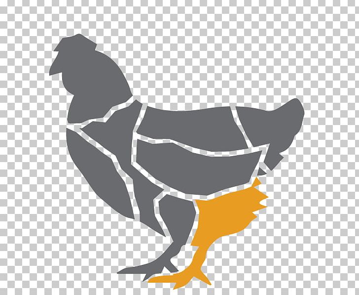 Buffalo Wing Chicken Poultry Bird Duck PNG, Clipart, Animals, Art, Beak, Bird, Buffalo Wing Free PNG Download