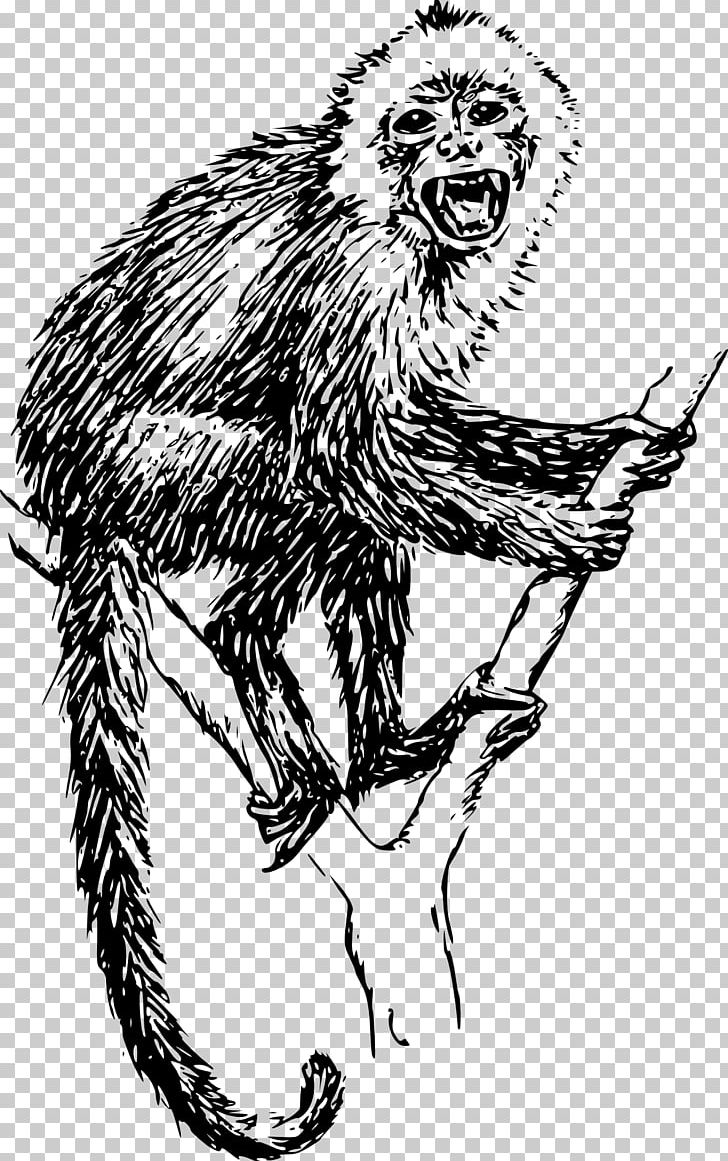 Capuchin Monkey Ape Drawing Howler Monkey PNG, Clipart, Animals, Big Cats, Blackandwhite Colobus, Carnivoran, Cartoon Free PNG Download