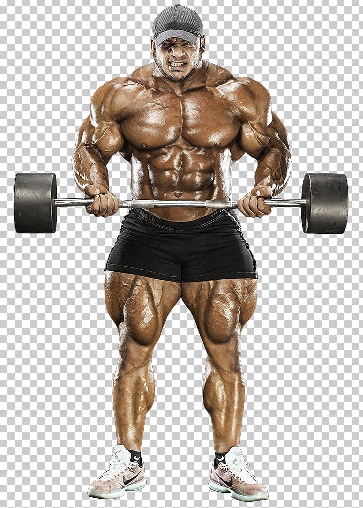 2017 Mr. Olympia Arnold Sports Festival 2016 Mr. Olympia 2014 Mr. Olympia 2015 Mr. Olympia PNG, Clipart, Abdomen, Arm, Arnold Classic, Bodybuilder, Boxing Glove Free PNG Download