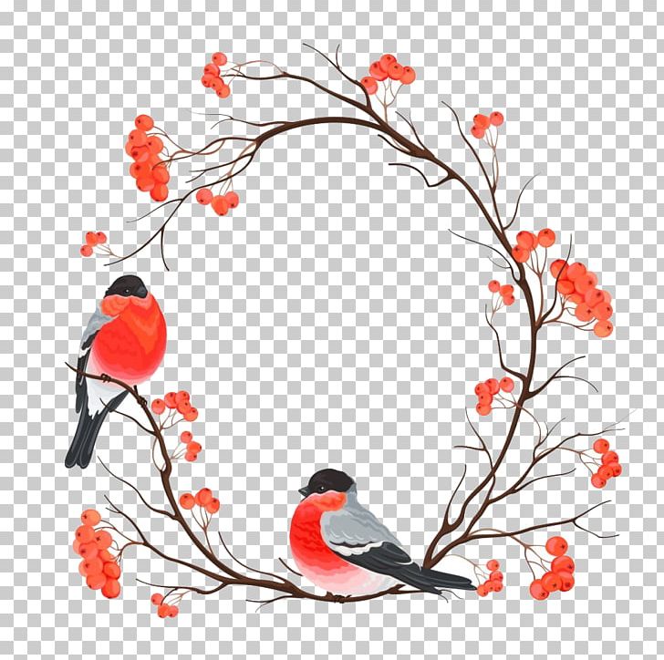 Bird European Robin Christmas Snowman Painting PNG, Clipart, Animals, Beak, Bird Cage, Branch, Childrens Day Free PNG Download