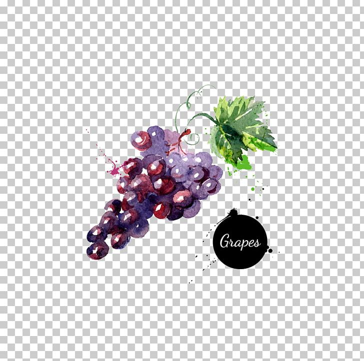 Grape Watercolor Painting Drawing PNG, Clipart, Berry, Black Grapes, Drawing, Flowering Plant, Food Free PNG Download