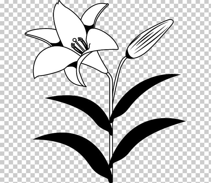 Lilium Flower Black And White Monochrome Photography PNG, Clipart, Artwork, Black And White, Branch, Cut Flowers, Flora Free PNG Download