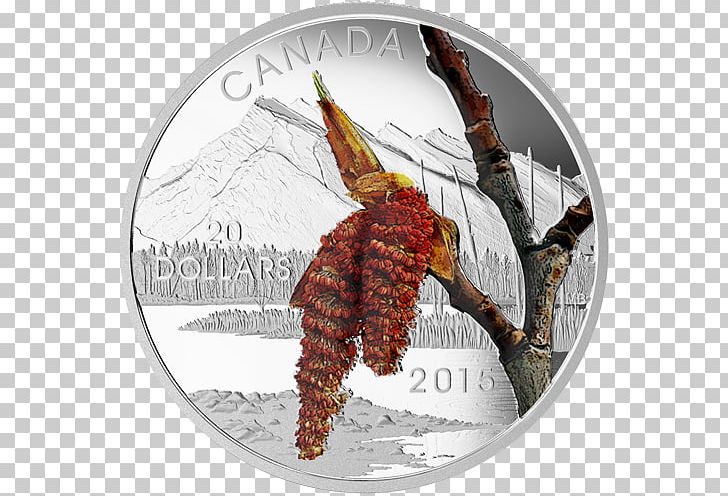 Canada Silver Coin Gold PNG, Clipart, Animal Source Foods, Canada, Canadian Gold Maple Leaf, Coin, Decapoda Free PNG Download