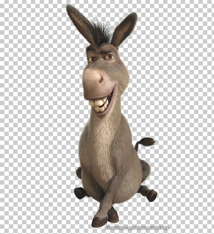 Donkey Princess Fiona Shrek Lord Farquaad DreamWorks Animation PNG, Clipart, Animal Figure, Animals, Donkey, Dreamworks Animation, Fauna Free PNG Download