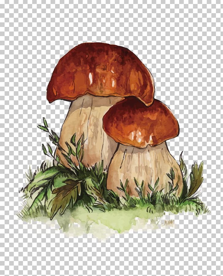 Penny Bun Edible Mushroom Fungus PNG, Clipart, Edible Mushroom, Happy Birthday Vector Images, Ingredient, Mushroom, Mushroom Cloud Free PNG Download