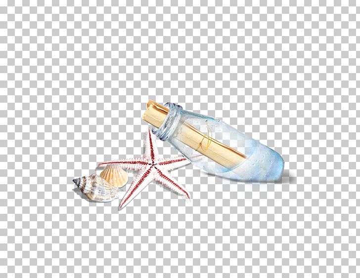 Seashell Bottle Sea Snail PNG, Clipart, Alcohol Bottle, Beach, Bottle, Bottles, Desire Free PNG Download