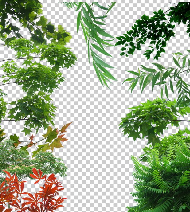 Tree Icon PNG, Clipart, Background, Background Material, Branch, Creative, Decorative Patterns Free PNG Download