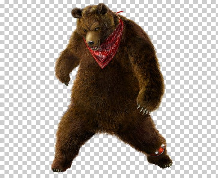 Tekken Tag Tournament 2 Tekken 4 Tekken 7 Tekken 6 PNG, Clipart, Bear, Brown Bear, Carnivoran, Fighting Game, Fur Free PNG Download