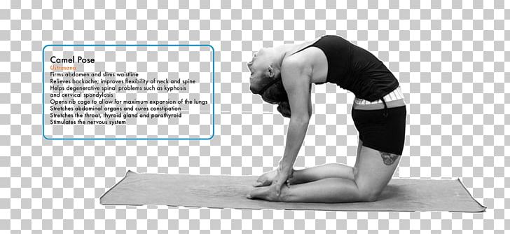Yoga Hip Shoulder PNG, Clipart, Arm, Balance, Baltimore, Bikram Yoga, Camel Free PNG Download