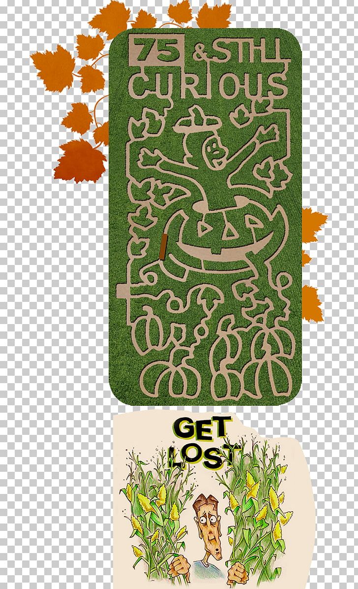 Harvest Tyme Pumpkin Patch Corn Maze Lowell Maize PNG, Clipart, Attraction, Birthday Party, Child, Corn, Corn Maze Free PNG Download