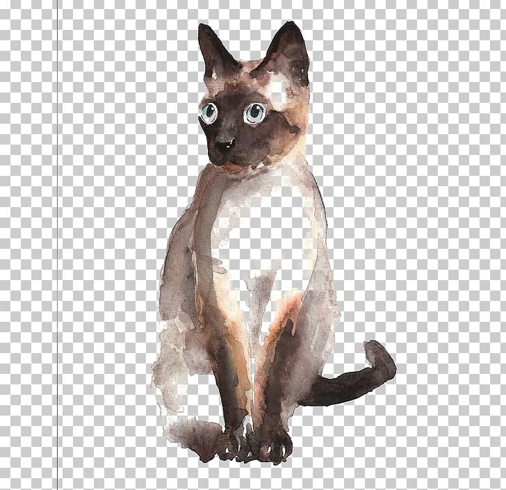 Siamese Cat German Rex Tonkinese Cat Burmese Cat Devon Rex PNG, Clipart, Animal, Animals, Burmese, Carnivoran, Cat Free PNG Download