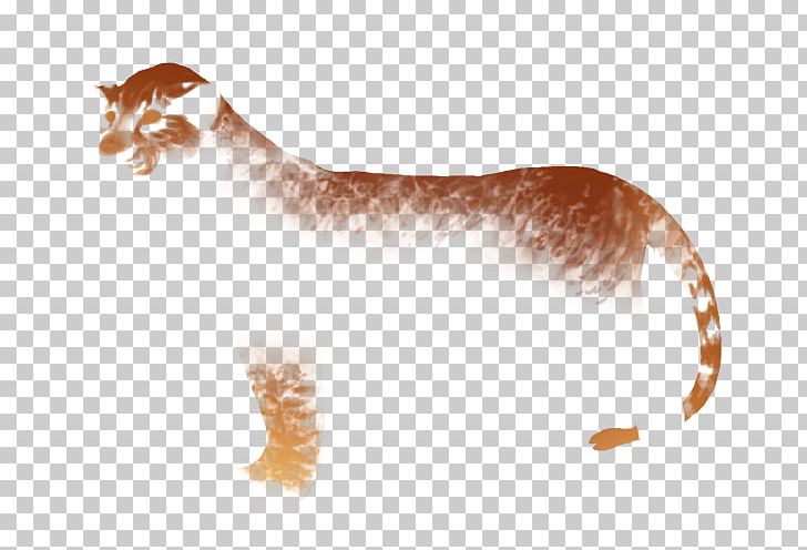 Whiskers Kitten Cat Paw Mammal PNG, Clipart, Animals, Arm, Big Cat, Big Cats, Canidae Free PNG Download