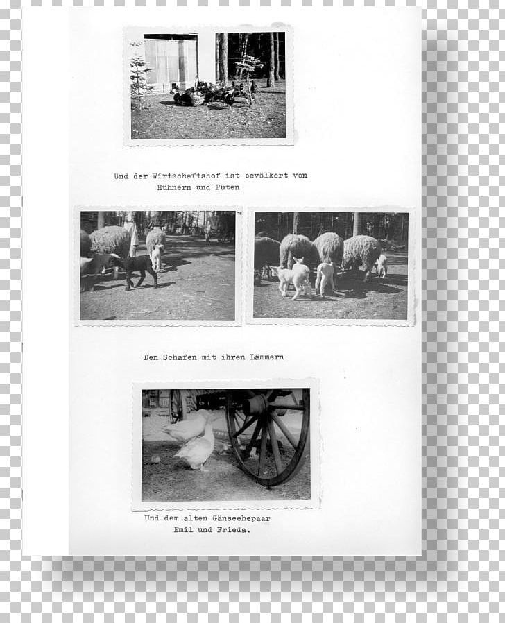 Frames Brochure PNG, Clipart, Art, Black And White, Brochure, History, Monochrome Free PNG Download