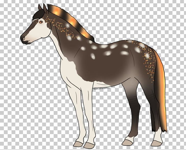 Mule Foal Stallion Mare Halter PNG, Clipart, Bridle, Colt, Donkey, Foal, Halter Free PNG Download