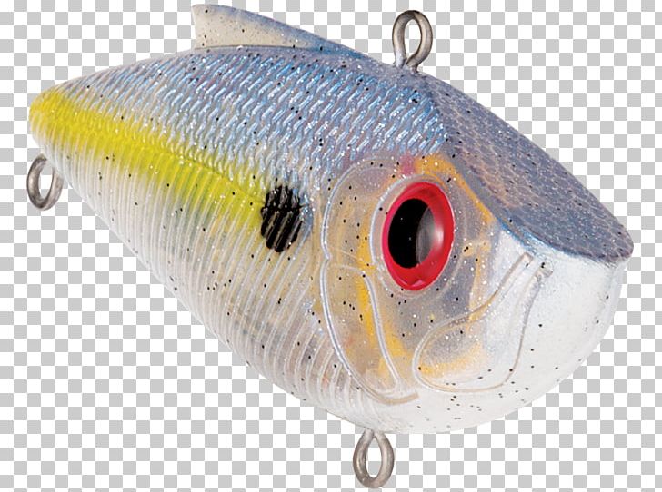 Plug Fishing Baits & Lures Spoon Lure Bass Fishing PNG, Clipart, Bait, Bait Fish, Bass Fishing, Beauty, Fish Free PNG Download