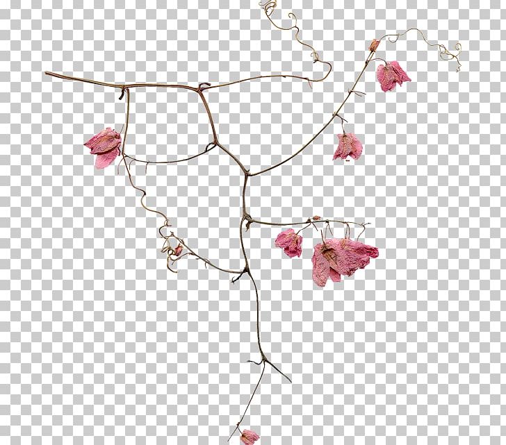 Portable Network Graphics Flower PNG, Clipart, Art, Artist, Askfm, Body Jewelry, Branch Free PNG Download