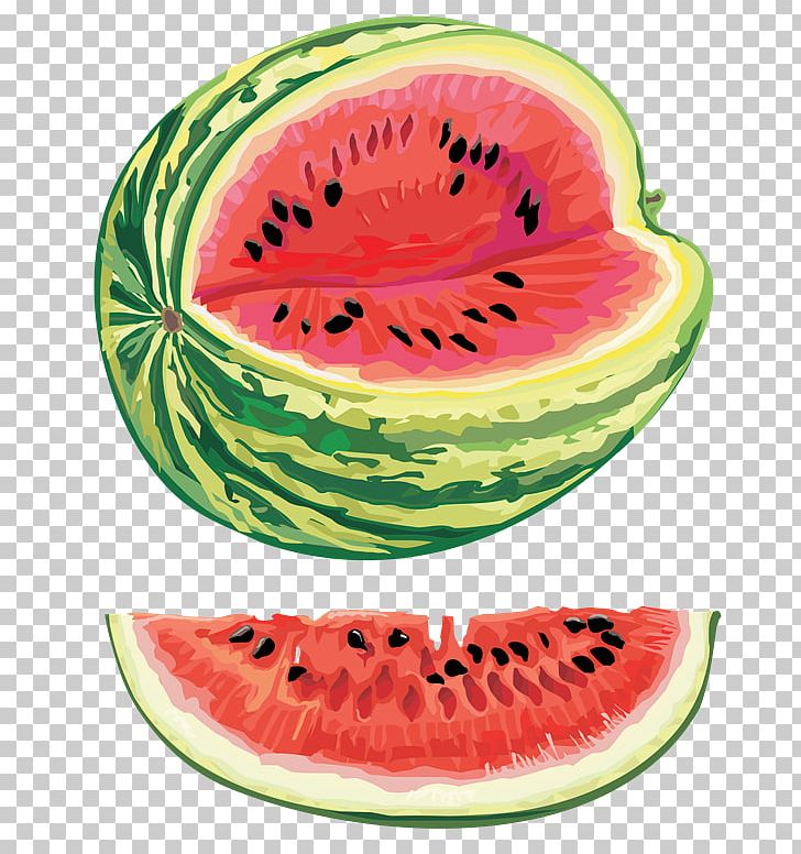 Watermelon Seed Oil Citrullus Lanatus Var. Lanatus PNG, Clipart, Bubble Gum, Citrullus, Citrullus Lanatus Var Lanatus, Computer Icons, Cucumber Gourd And Melon Family Free PNG Download