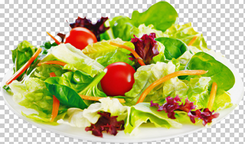 Salad PNG, Clipart, Garden Salad, Greek Salad, Leaf Vegetable, Lettuce, Pasta Salad Free PNG Download