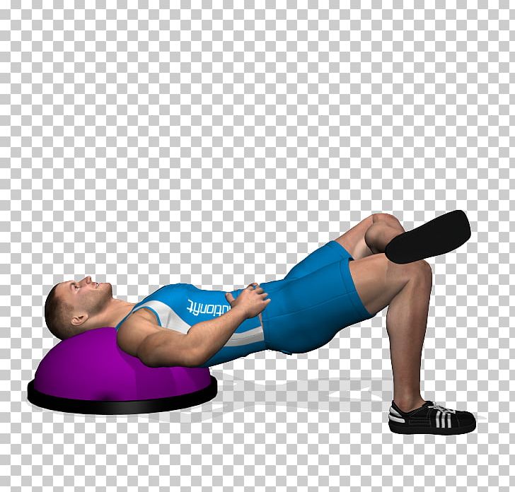 BOSU Exercise Pilates Physical Fitness Squat PNG, Clipart,  Free PNG Download
