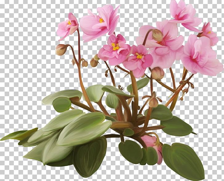 Flowerpot Plant Violet PNG, Clipart, Benzersiz, Flora, Flower, Flower Garden, Flowering Plant Free PNG Download